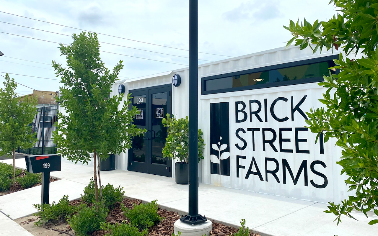 St. Pete's Brick Street Farms, which specializes in hydroponically-grown lettuces and greens.