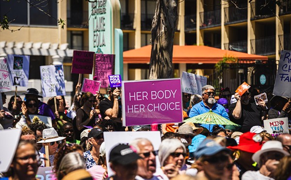 State panel weighs financial impact of Florida's abortion rights ballot proposal
