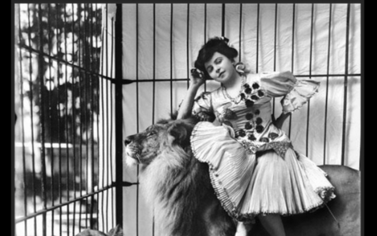 IM-PURR-FECT WORLD: One of the archival photos featured in The Circus is Coming to Town.