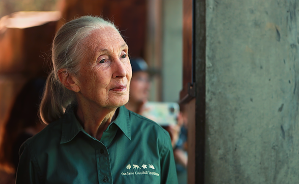 Jane Goodall, who'll speak at Tropicana Field in St. Petersburg, Florida on Sept. 14, 2024.