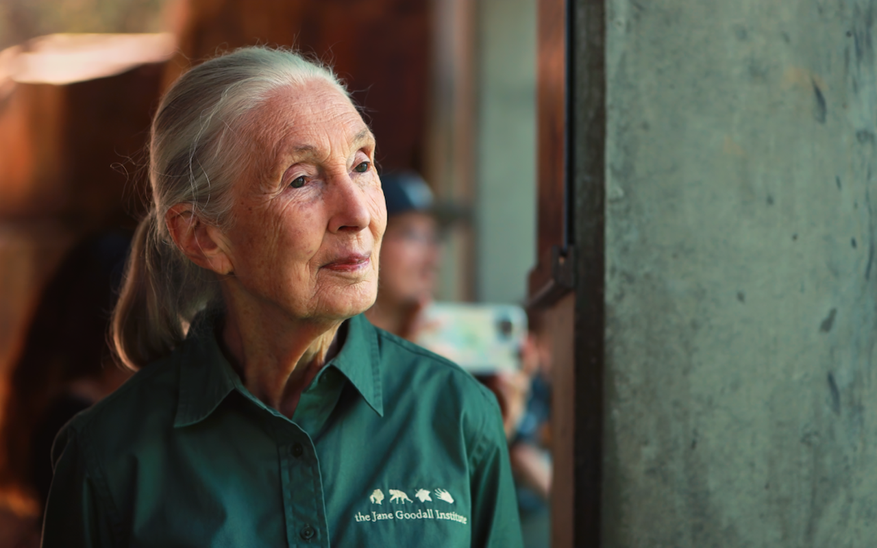 Jane Goodall, who'll speak at Tropicana Field in St. Petersburg, Florida on Sept. 14, 2024.