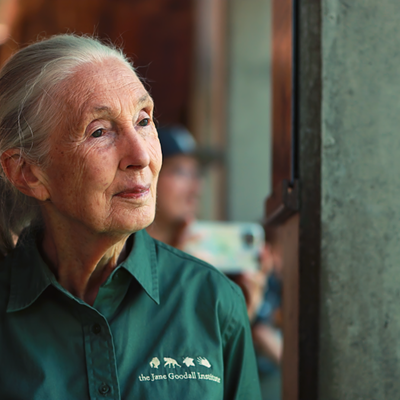 Jane Goodall, who'll speak at Tropicana Field in St. Petersburg, Florida on Sept. 14, 2024.