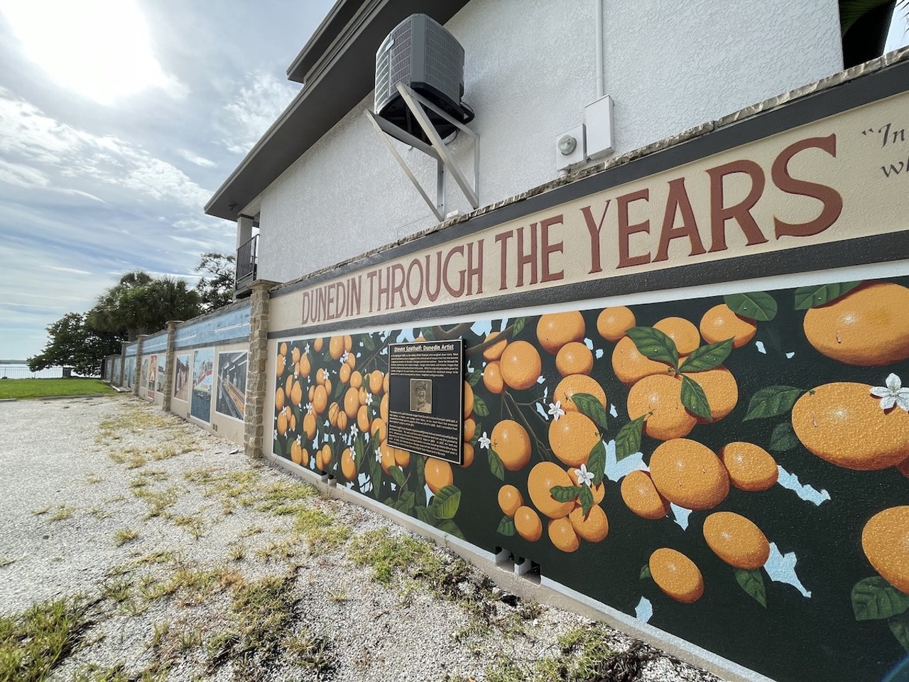 In Feb. 2023, Spathelf painted his 1000th orange alongside his postcard murals at Weaver Park. Commissioned by Dunedin residents Donna and Shannon Smith, Spathelf’s been gradually painting the history of Dunedin into a series of postcard murals along the historic Heron House wall that borders Weaver Park. There are now 15 leading up to the orange mural, which tells the story of Spathelf’s oranges and his “Dunedin Through the Years” postcard mural project.
1258 Bayshore Blvd., DunedinPhoto by Jennifer Ring