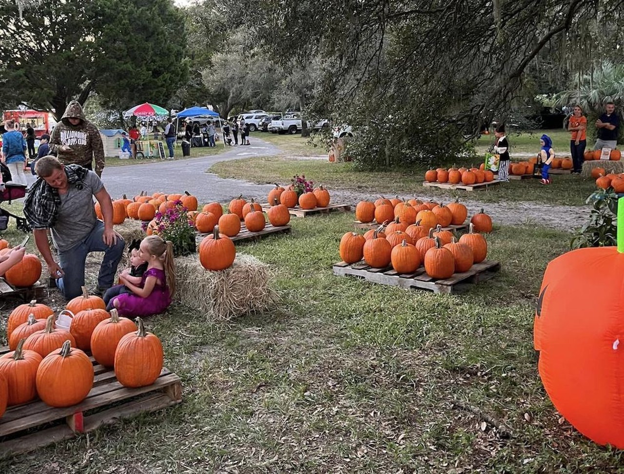 Green Acres Blueberry Farm Fall Festival & Trunk or Treat
17500 Eldridge Ave., Spring Hill
Fri. October 27, 6-9 p.m. Trunk or Treat, Saturday and Sunday, Oct. 28-29, 9 a.m.-4 p.m. Fall Festival and Vendor Market
Green Acres Farm’s annual Trunk or Treat returns Friday, October 27, 6-9 p.m. The fun continues Saturday and Sunday, when Green Acres hosts their 2nd annual Fall Festival with vendors, food trucks, and a pumpkin patch.
Photo via Green Acres Blueberry Farm/Facebook