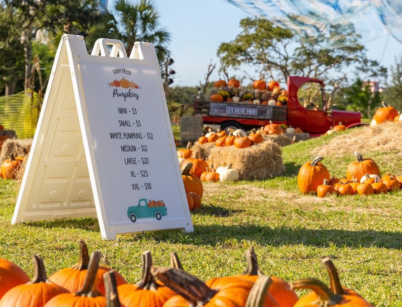 St. Pete Pier Pumpkin Patch
600 2nd Ave. NE, St. Petersburg 
Select days October 7-15
Visit the pier for one of the largest pumpkin patches in the area, complete with thousands of pumpkins, hay bales, photo booth, fall refreshments and more! The fun begins October 7-8, when The Pier hosts their fall festival, 11 a.m.-7 p.m. at Spa Beach Park, with live music, seasonal food and artisanal items, and a kid’s zone with games, face painting, and bounce houses.
Photo via St. Pete Pier/Website