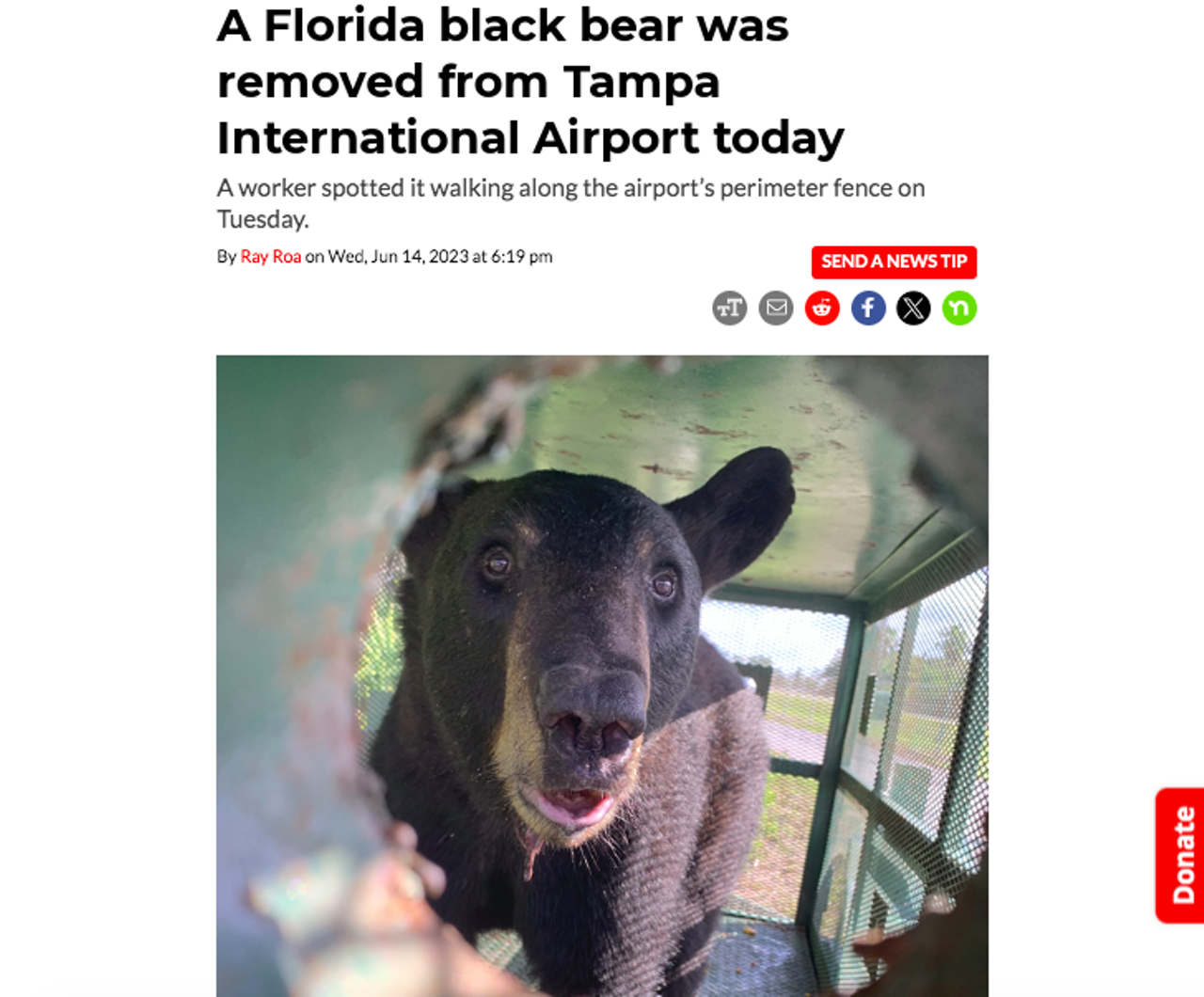 Tampa International Airport said it removed a Florida black bear from the airport campus last summer, adding that it has no previous records of bear incursions on airport property.  A TSA employee spotted the bear walking along the airport perimeter fence near Hillsborough Avenue, according to airport officials. The sighting was reported to Hillsborough County Aviation Authority. Read the full story here. 