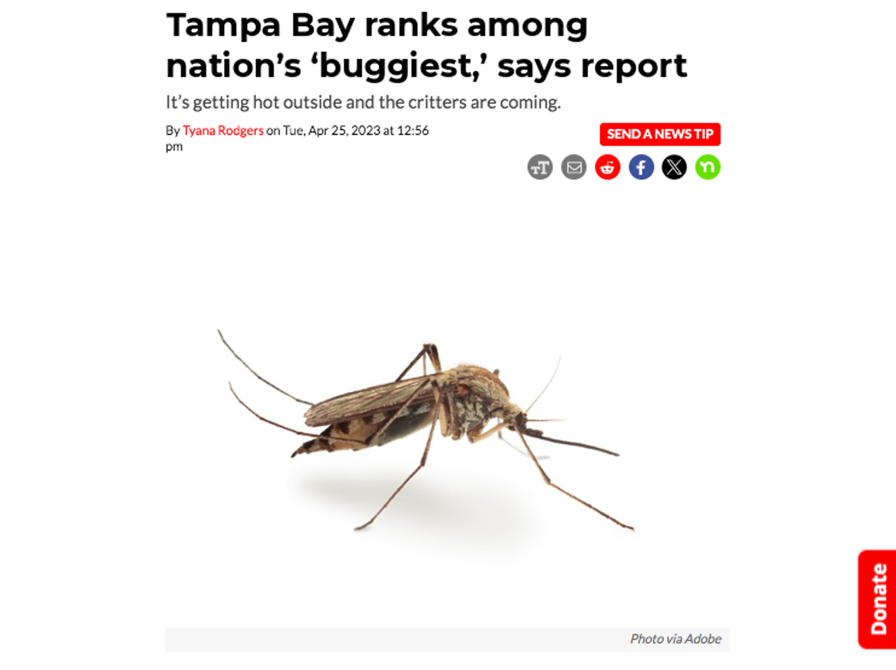 In a report released last spring by lawn care company TruGreen, Tampa Bay was ranked as one of the top five cities nationwide most impacted by outdoor pests—specifically mosquitos, fleas and ticks. The study places the Tampa-St. Petersburg-Sarasota region at No. 5 out of the country's 20 largest metros. Read the full story here. 