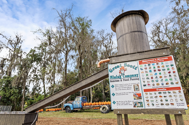 Great Scott’s Maze Adventures
    26216 County Rd. 448A, Mount Dora
    Saturday and Sunday, 10 a.m.-5 p.m., Sept. 28-Nov. 24
Adult admission $16, kids under 3 years are free. 

   Pick your pumpkin, go on a hayride, and wander the seven-acre corn maze during Great Scott Farms’ Fall Festival. There's beer and wine for the adults, and plenty to do for the kids, including gem mining, a jumping pillow, a castle playground, a corn pit farm tours, and more. 

    Photo via Long & Scott Farms/Facebook