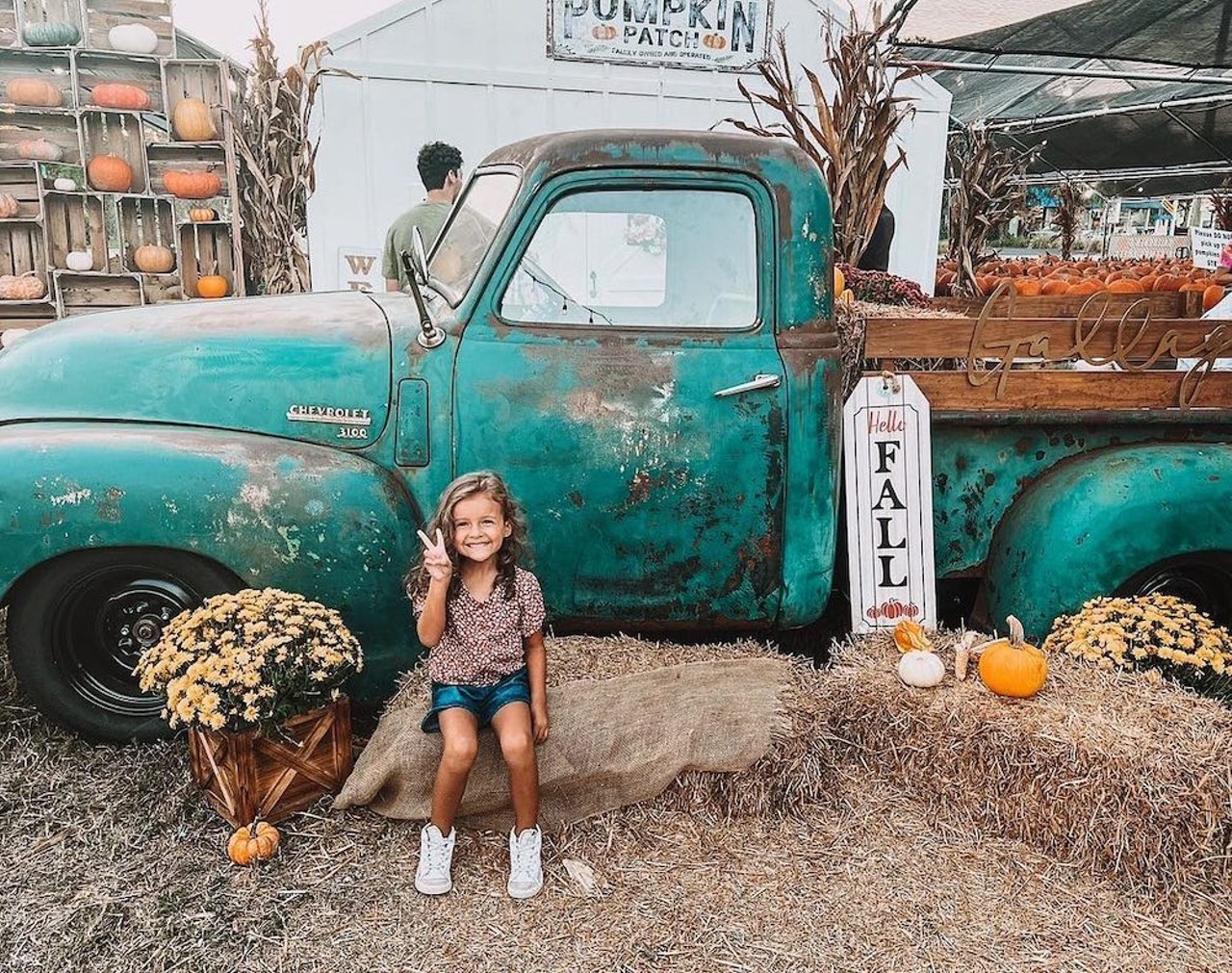 Gallagher’s Pumpkins & Trees
7401 4th St. N, St. Petersburg
Daily starting September 16, 9 a.m.-9 p.m.
With no charge for entry, this family-owned pumpkin patch and Christmas tree farm carries a variety of different colors and sizes of pumpkins. 
Photo via Gallagher’s Pumpkins & Trees/Facebook