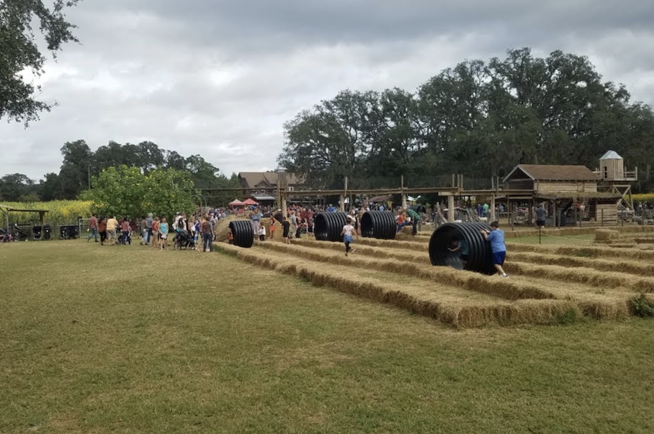 Sweetfield Farms Fall Maze and Pumpkin Patch
17250 Benes Roush Rd., Brooksville
Select days starting Sep. 29, check the website for hours
$11.95 plus tax in advance, $14 at the door, kids two years and under free
Journey through Sweetfield Farms’ winding corn maze, which features more than five acres of clues and challenges to navigate through. Additional fall season activities include a hay play area, tumbleweed rollers, a mini maze, face painting, food vendors and an expansive pumpkin patch. Get your tickets in advance online – they sell out.
Photo via Sweetfields Farms Fall Maze and Pumpkin Patch/Facebook