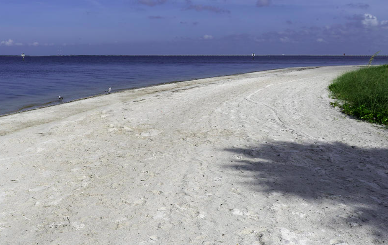 Picnic Island Park
Number of swim advisories: 💩x117 in 25 years
Hillsborough County
7409 Picnic Island Blvd, Tampa