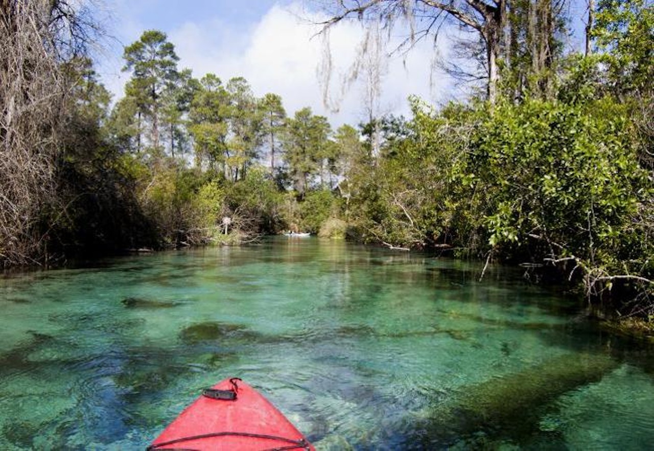 Weeki Wachee Springs State Park 
Estimated Drive Time from Tampa: 1 hour
Weeki Wachee Springs State Park is famous for its water park, mermaid shows and its natural springs. Weeki Wachee also features one of the deepest freshwater cave systems in the United States. Those wishing to swim in the clear water can enter at Buccaneer Bay or Rogers Park, which is free. Kayak and paddle boards are available for rent at nearly every main park entrance. Park hours are from 9 a.m. to 5:30 p.m.
Photo via State Park Website