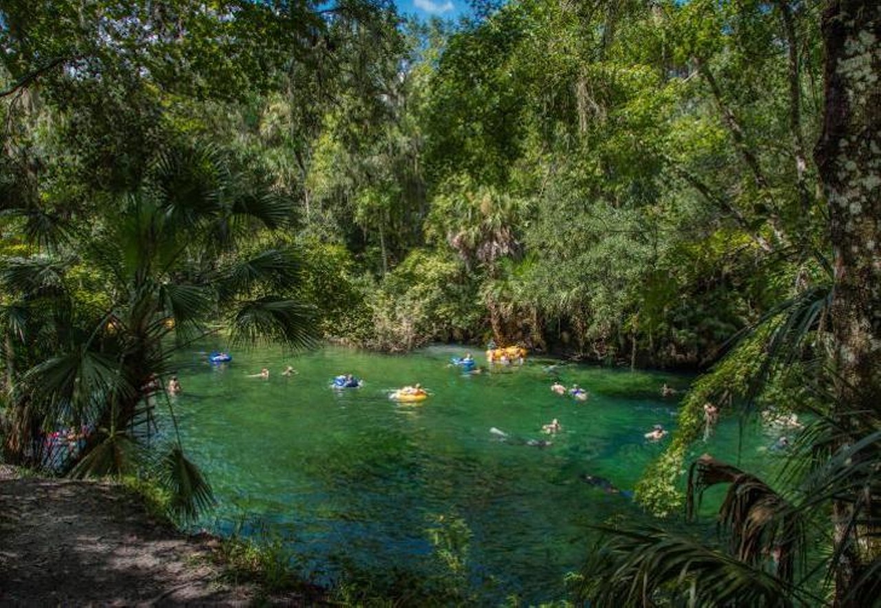 Blue Spring State Park 
Estimated Drive Time from Tampa: 2 hours
Blue Spring State Park can be found along the St. Johns River. Wildlife that are common in the park include manatees, ospreys, eagles and kingfishers. Visitors often come to swim, but activities like snorkeling, paddling, kayaking, scuba diving and tubing are also common. Amenities available to guests include parking, restrooms, a playground, shower stations and a picnic pavilion. A single-occupant vehicle will cost $4 for admission, and the park is open from 8 a.m. to sundown every day. 
Photo via State Park Website
