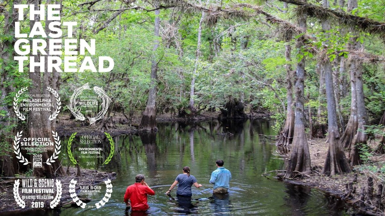 See The Last Green Thread at Tampa TheatreCarlton Ward&#146;s latest Florida Wildlife Corridor documentary is already winning awards at film festivals. See it for free at the Tampa Theatre.Thurs., Apr. 25, 7:30-9:30 p.m.
Photo via the Facebook event page