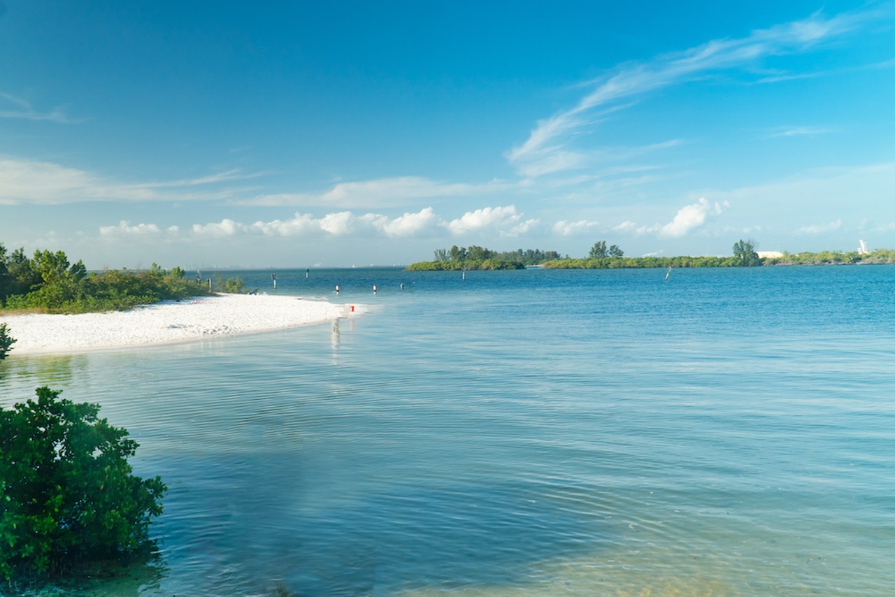 Forest Park Beach Restoration