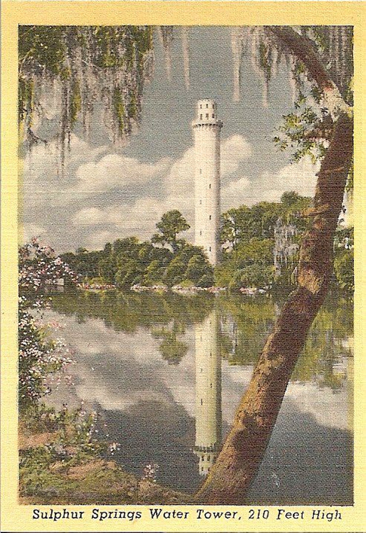 Sulphur Springs Water Tower
455-479 E Bird St, Tampa, FL
Built on top of an old water well in 1927, Sulphur Springs Water Tower was created to provide water pressure for the Sulphur Springs Hotel. Supposedly, the water tower was a popular place for suicidal jumpers during the Great Depression. 
Photo via Florida Memory