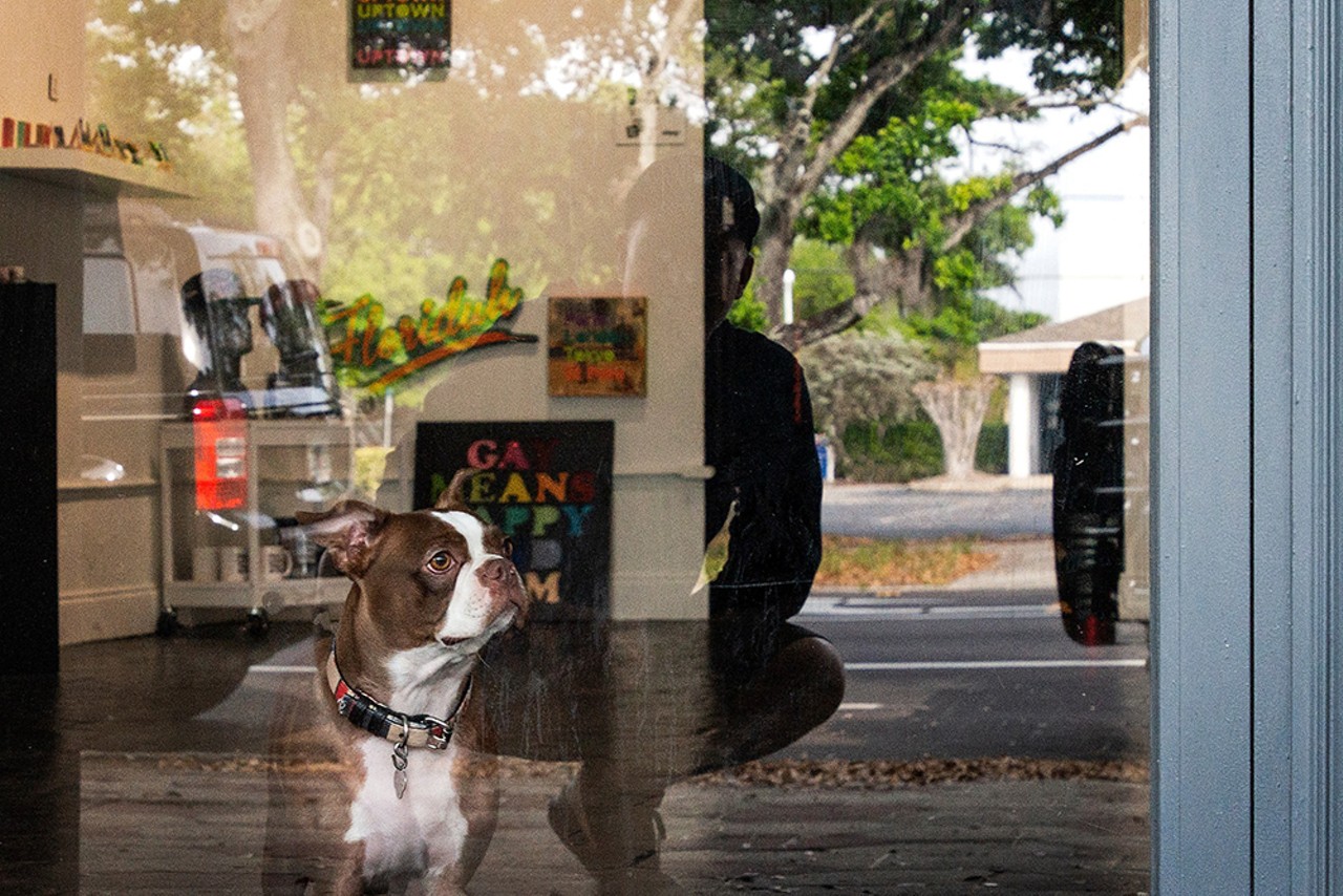 See Laurie Ross&#146; shop dogsTake your dog to Three Dog Bakery and look at some awesome photos of dogs in shops during Second Saturday Art Walk.Sat., Apr. 13, 5-9 p.m.
Photo by Laurie Ross, via the Facebook event page