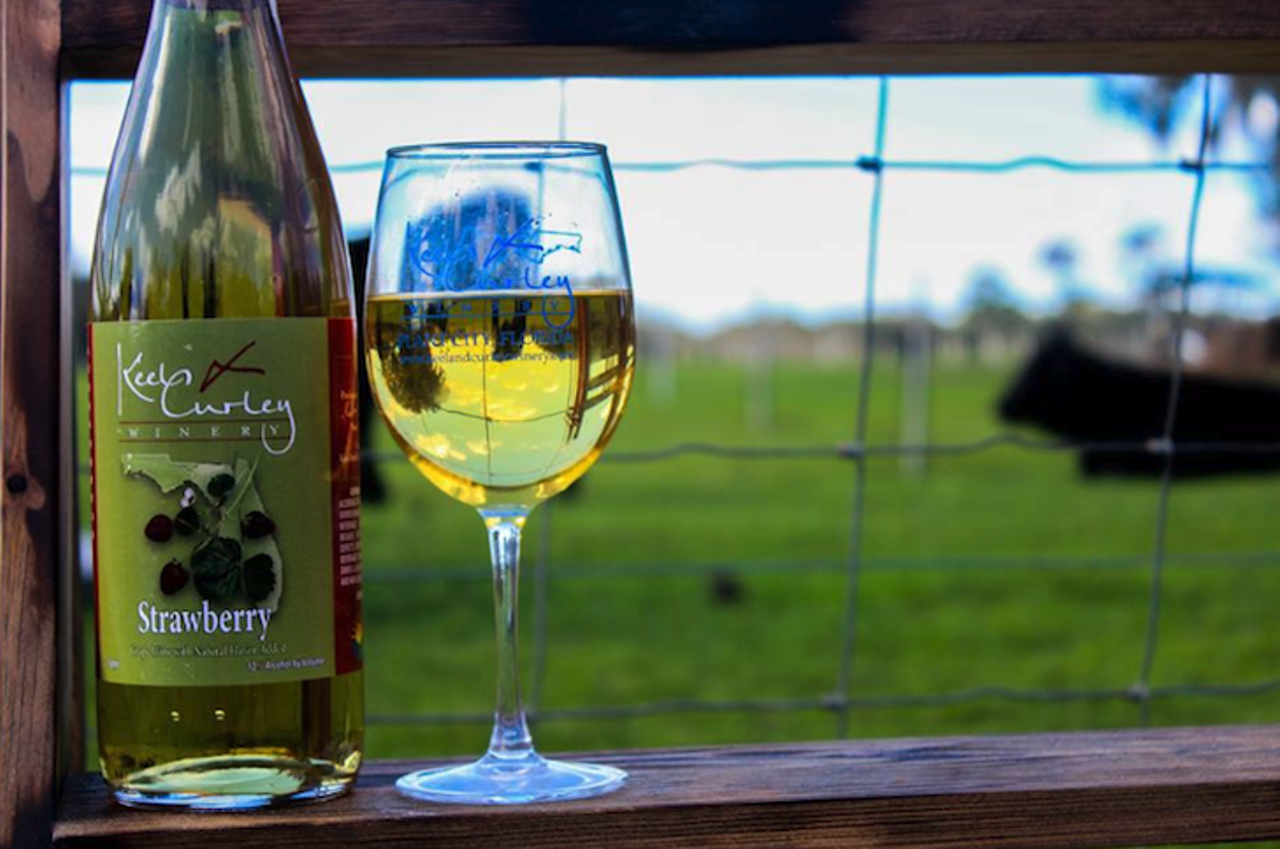Keel & Curley Winery  
5116 N. Nebraska Ave., Tampa, 813-252-6393
Check Groupon before you take this adventure - you could get a deal on a wine tasting! Gorgeous vineyard, live animals all around and heavy pours. Yes, please.
Photo via Keel & Curley Winery/Facebook