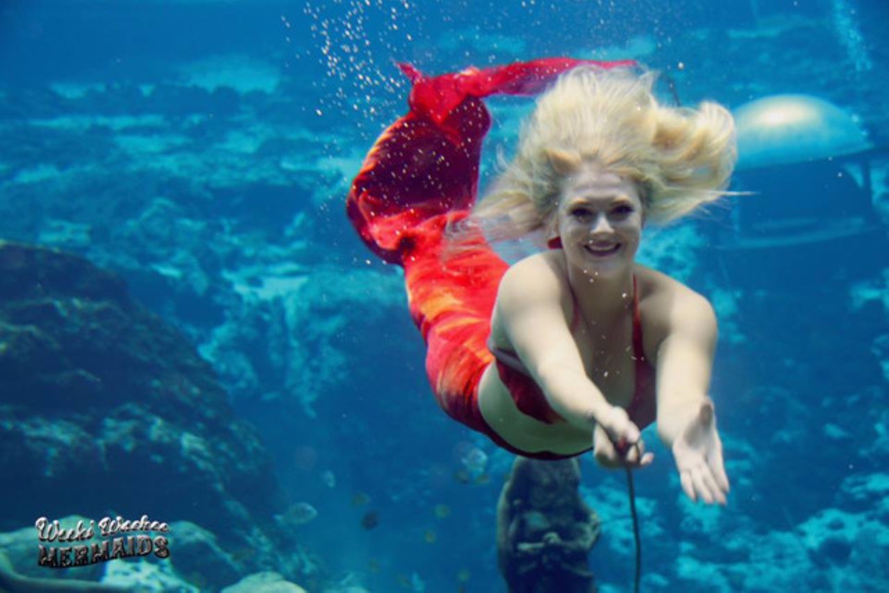  Swim with the mermaids at Weeki Wachee Springs    
6131 Commercial Way Spring Hill, FL 34606,  (352) -592-5656  
From crystal-blue water, to tubing to river boat cruises, to live mermaid shows, Weeki Wachee Springs is a great staycation destination. Several weekend and week-long camps are offered, including a junior mermaid camp. Although there is no on-sight camping, there are nearby options such as Cody&#146;s RV Park and Camp-A-Wyle Lake resort. The mermaids will impress your out-of-towners indefinitely. 
Photo via Weeki Wachee Springs/Facebook