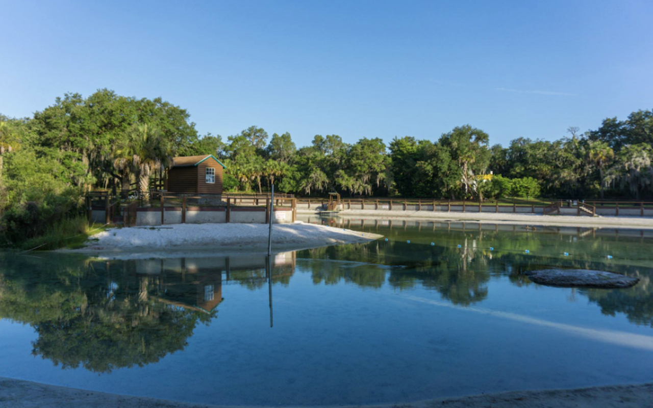 Spend a day at Lithia Springs
3932 Lithia Springs Rd. Lithia, 813-744-5572
The year-round natural spring is a great spot for family fun, even with trace amounts of lithium from nearby citrus farm fertilizer run-off. Barbecue for the afternoon while taking a dip in the consistently 72-degree water. Photo via Lithia Springs Park/Facebook