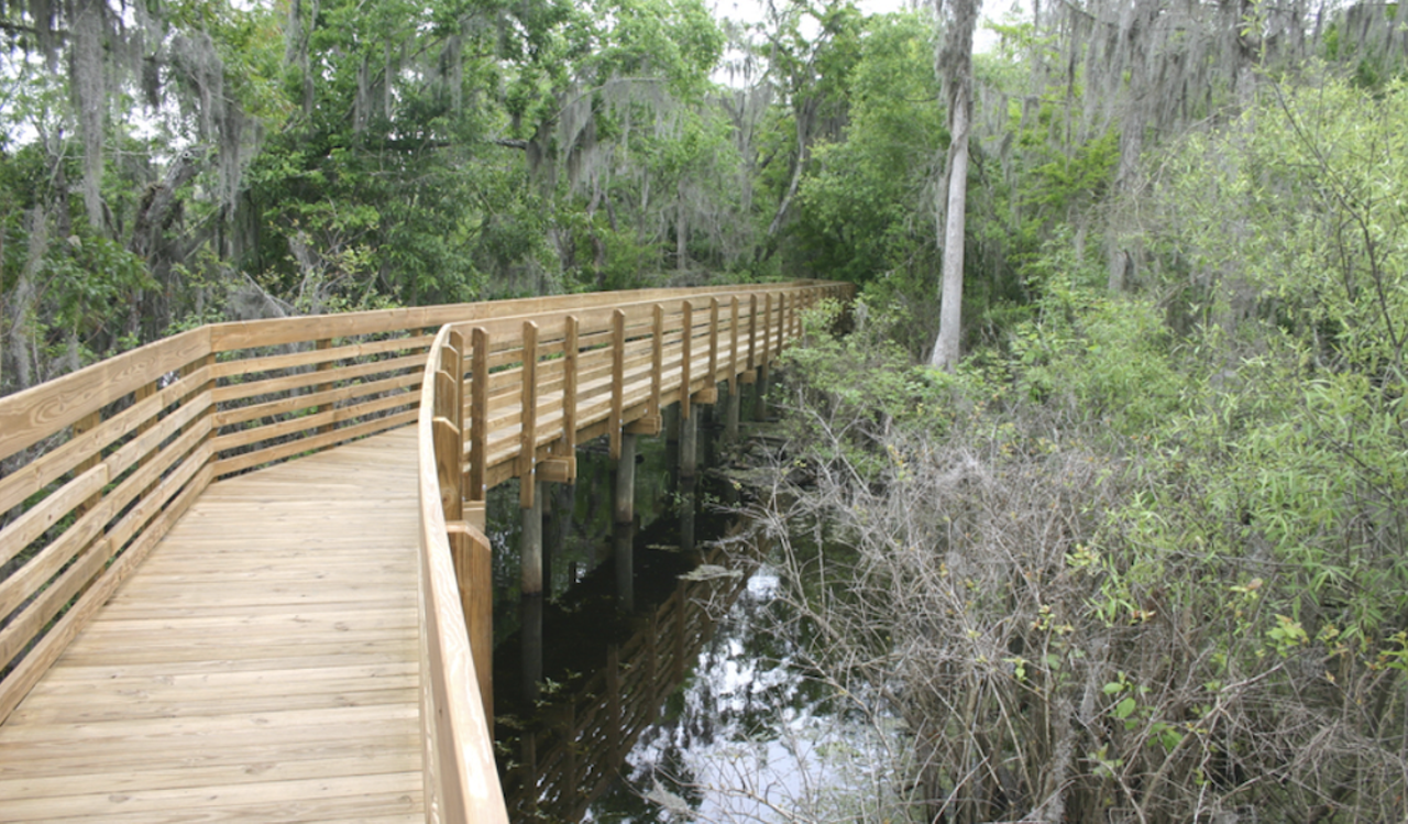 Go alligator watching at Lettuce Lake Park
6920 E Fletcher Ave., Tampa, 813-987-6204
This county park can give you easy access to some of Tampa’s best gator watching. There’s a canoe and kayak rentals, a lookout tower, and a great little boardwalk loop, so there’s almost zero chance of becoming a gator snack.
Photo via Hillsborough County website