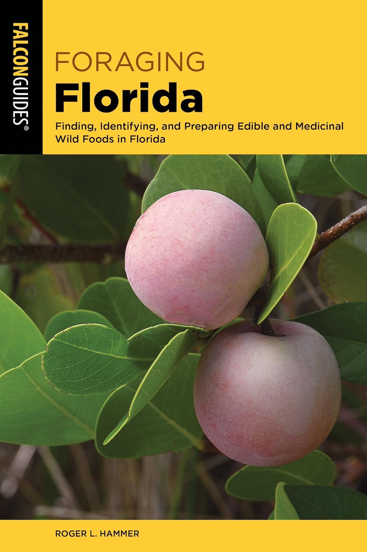 ‘Foraging Florida: Finding, Identifying and Preparing Edible and Medicinal Wild Foods in Florida’ By Roger L. Hammer
A guide for any Floridian—Tampeños and St. Petians included—who want a starting point for recreational foraging, and to make sure they go about things legally, ethically, and in a way that honors the generations of Native American land stewards, many of whom discovered these medicines and food preparations several centuries ago. The book opens with a stark disclaimer that unambiguously, and repeatedly, reminds readers that the work is a reference and that there are dangers when it comes to eating collected from the wild. It contains 261 pages of herbs, wild fruits, useful plants that are commonly deemed as weeds, palms, root vegetables and berries that grow in every nook and cranny of the Sunshine State’s unique ecosystem. Some of these edible plants are even common trees or flora you may drive by every day. (Falcon Guides)—Kyla Fields
Photo via Falcon Guides