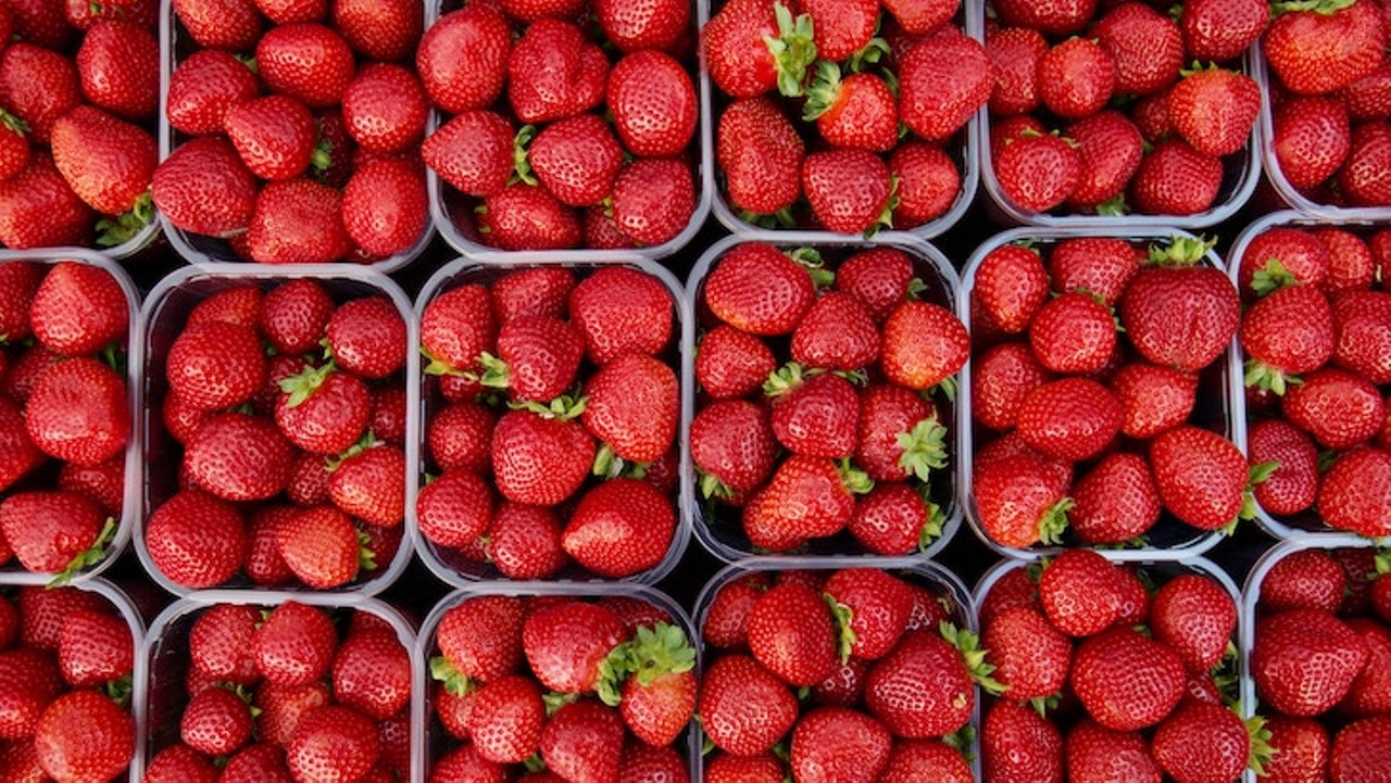 Florida Strawberry Festival in Plant City
Feb. 28-March 10
Photo by Barry McGee via Unsplash