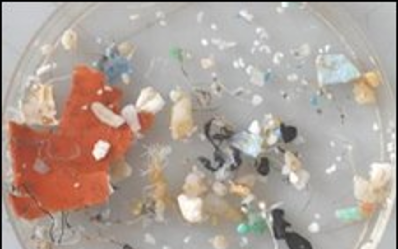 The Great Atlantic Ocean Garbage Patch has been discovered