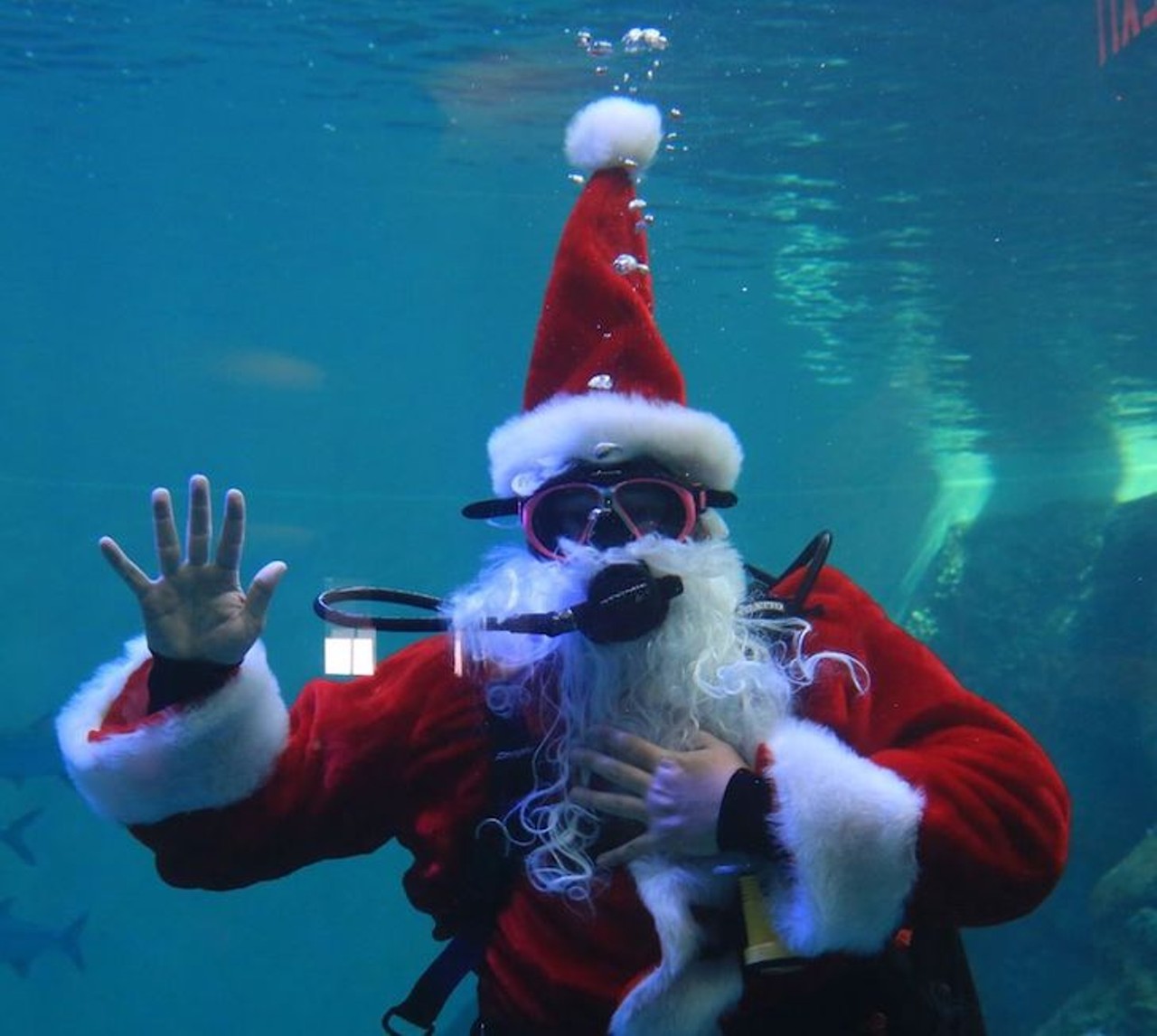 Winter&#146;s Wonderland
249 Windward Passage Clearwater, FL
November 16 &#150; January 6
Live in the ocean this winter without actually freezing your ass off. Winter&#146;s Wonderland offers guests the chance to hang out with Winter the dolphin and experience holiday-themed habitats. The kids can also spend the afternoon interacting with Santa and his elves as they dive in and out of the waters of Mavis&#146;s Rescue Hideaway. Go H.A.M. by booking a Sea of Lights boat cruise for $25.98.
Photo via SeeWinter/Facebook