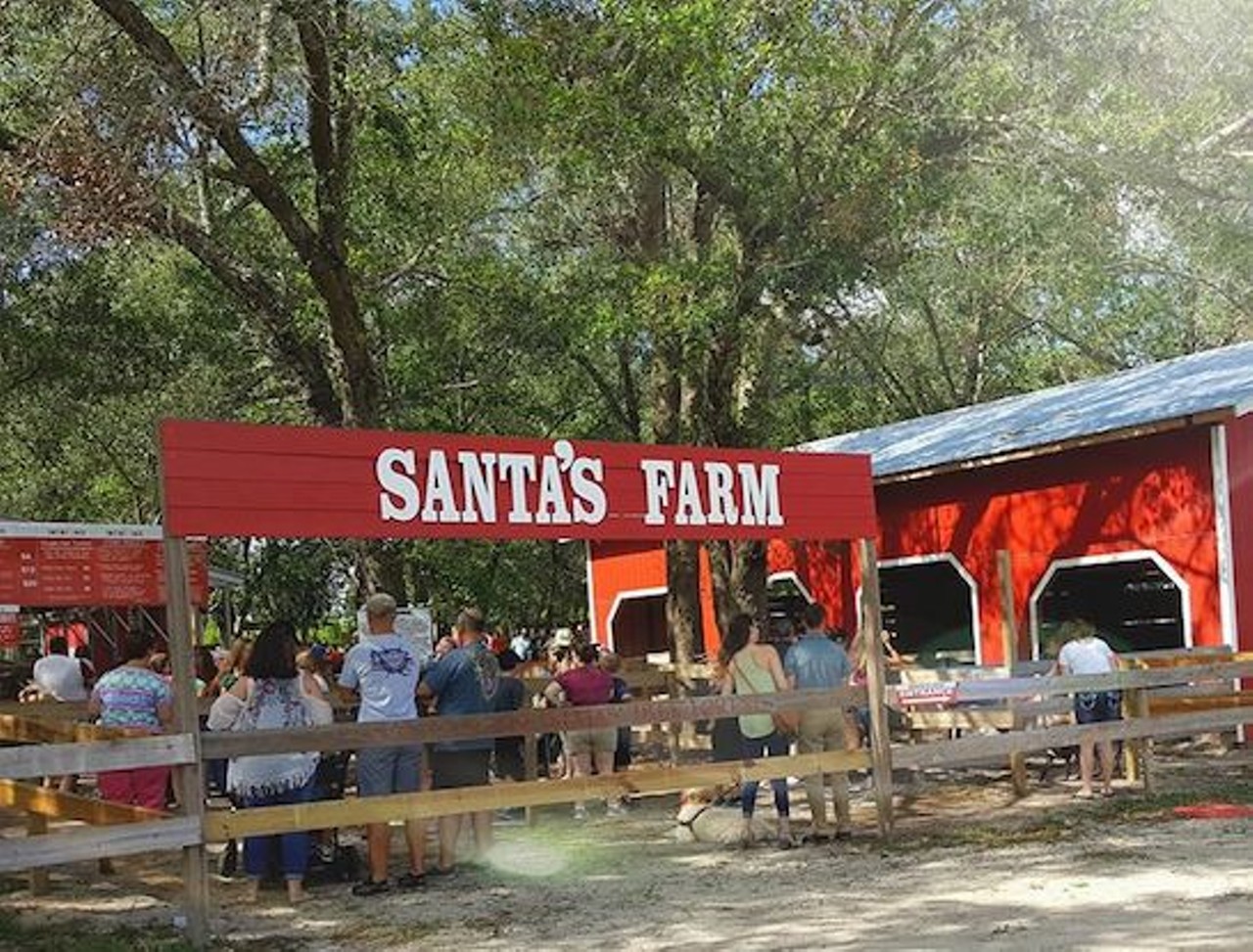 Cut your own tree at Santa&#146;s Christmas Tree Forest 
35317 Huff Rd, Eustis, FL
November 23 &#150; December 22
Although it&#146;s a bit of a drive from the Tampa area, making a family trek out to Santa&#146;s Christmas Tree Forest is a must this season. The closest thing to a literal winter wonderland in Florida, this destination features hayrides, holiday-themed photo ops, horse rides , corn mazes, zip-lining, a petting zoo, and of course, choosing your own fresh Christmas tree. Get your tickets now, they always sell out.
Photo via Santa&#146;s Farm/Facebook