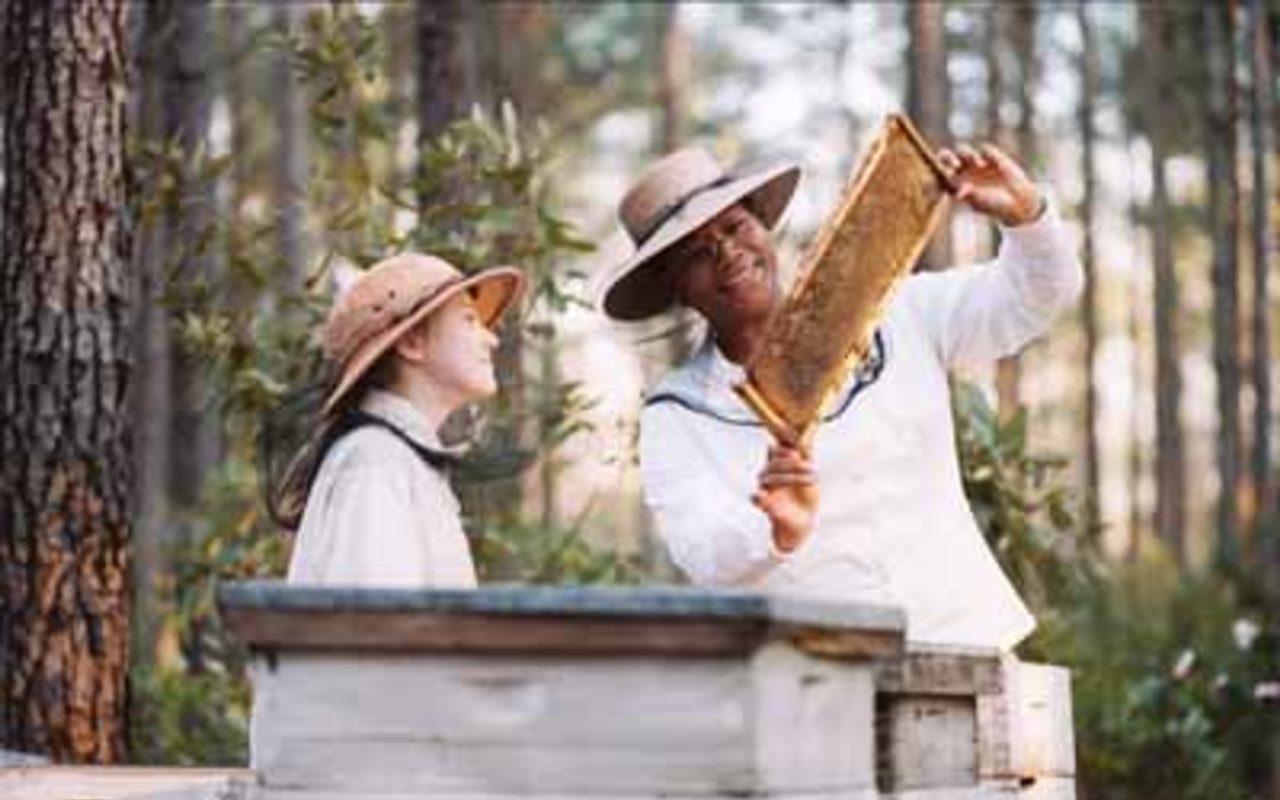 BEE-LIEVE IT: Lily (Dakota Fanning, left) and August (Queen Latifah) share a moment in The Secret Life of Bees.