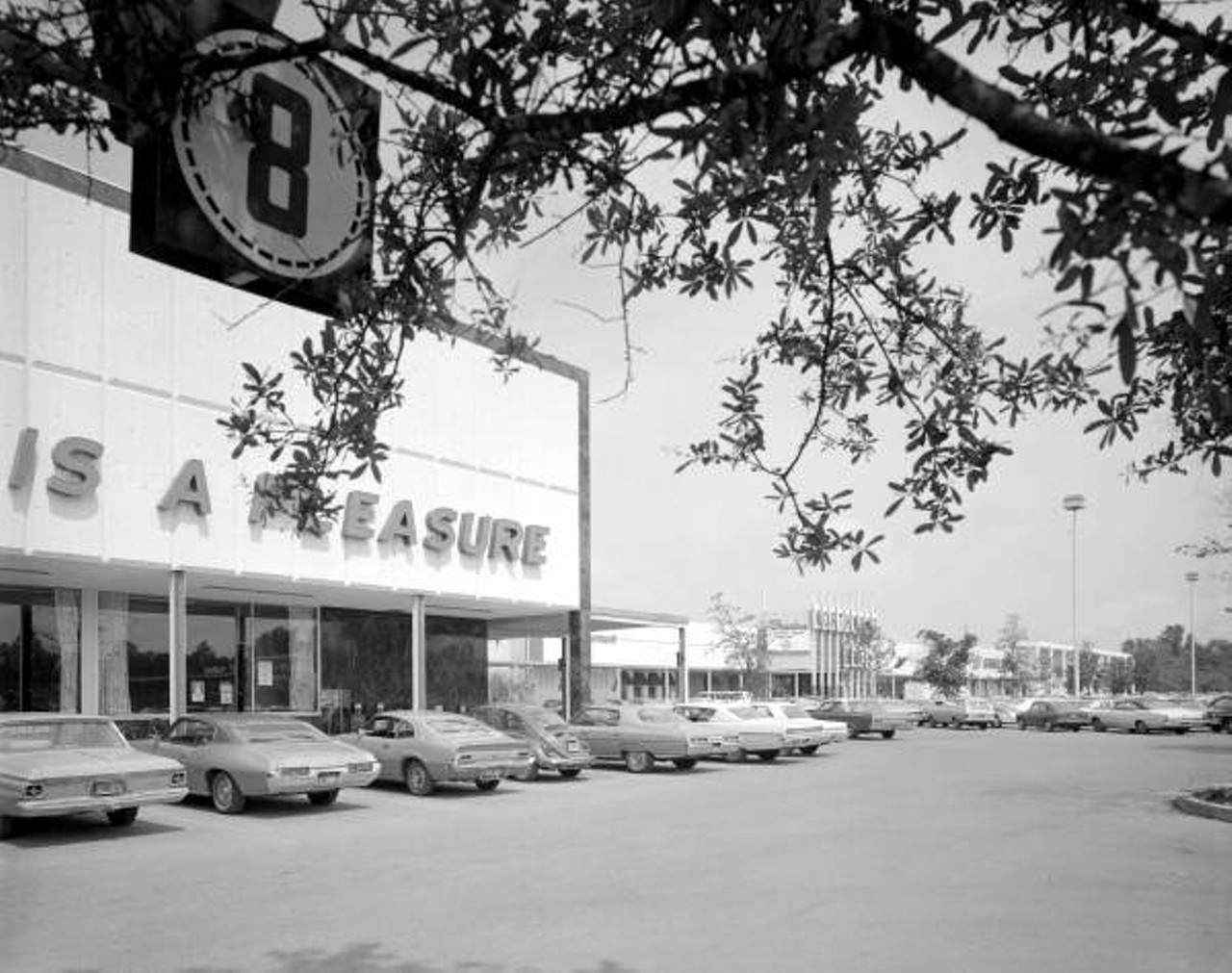 View of the Publix at the Northwood Mall in Tallahassee, Florida, 1971.