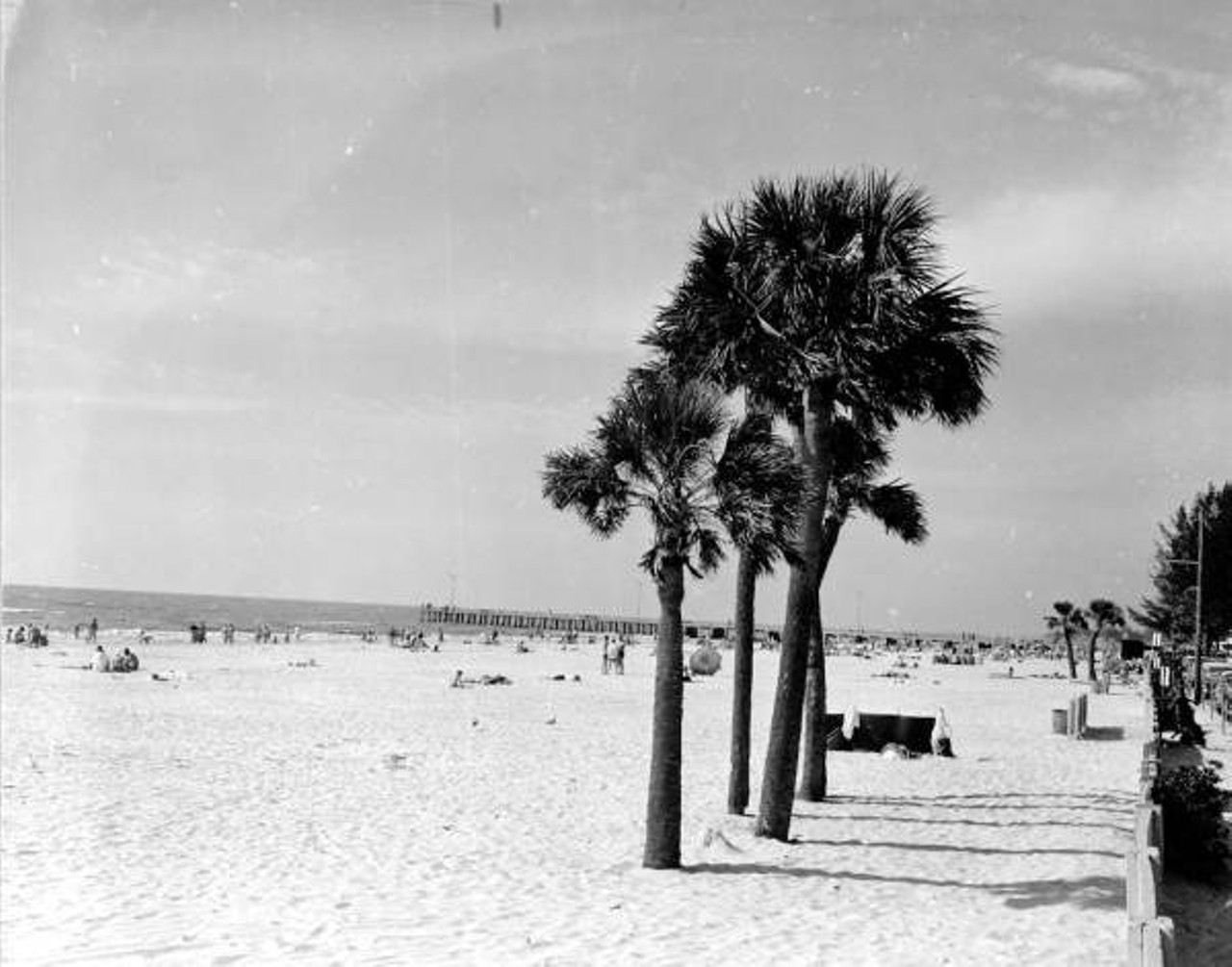 Palms on Clearwater beach. Published 1958.