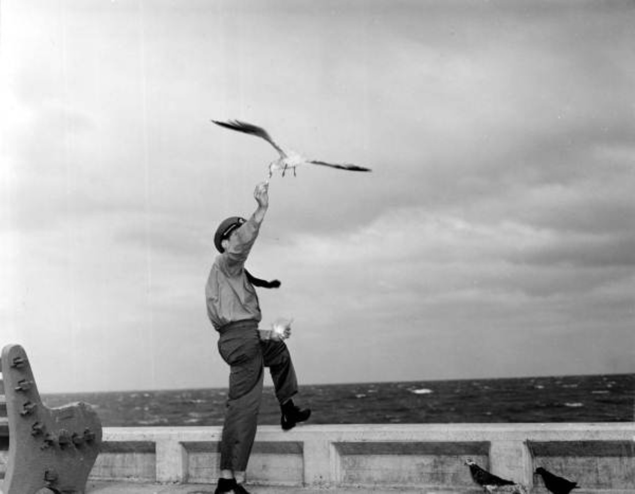 Ray Marcois feeding seagulls - Saint Petersburg, Florida, 1947.