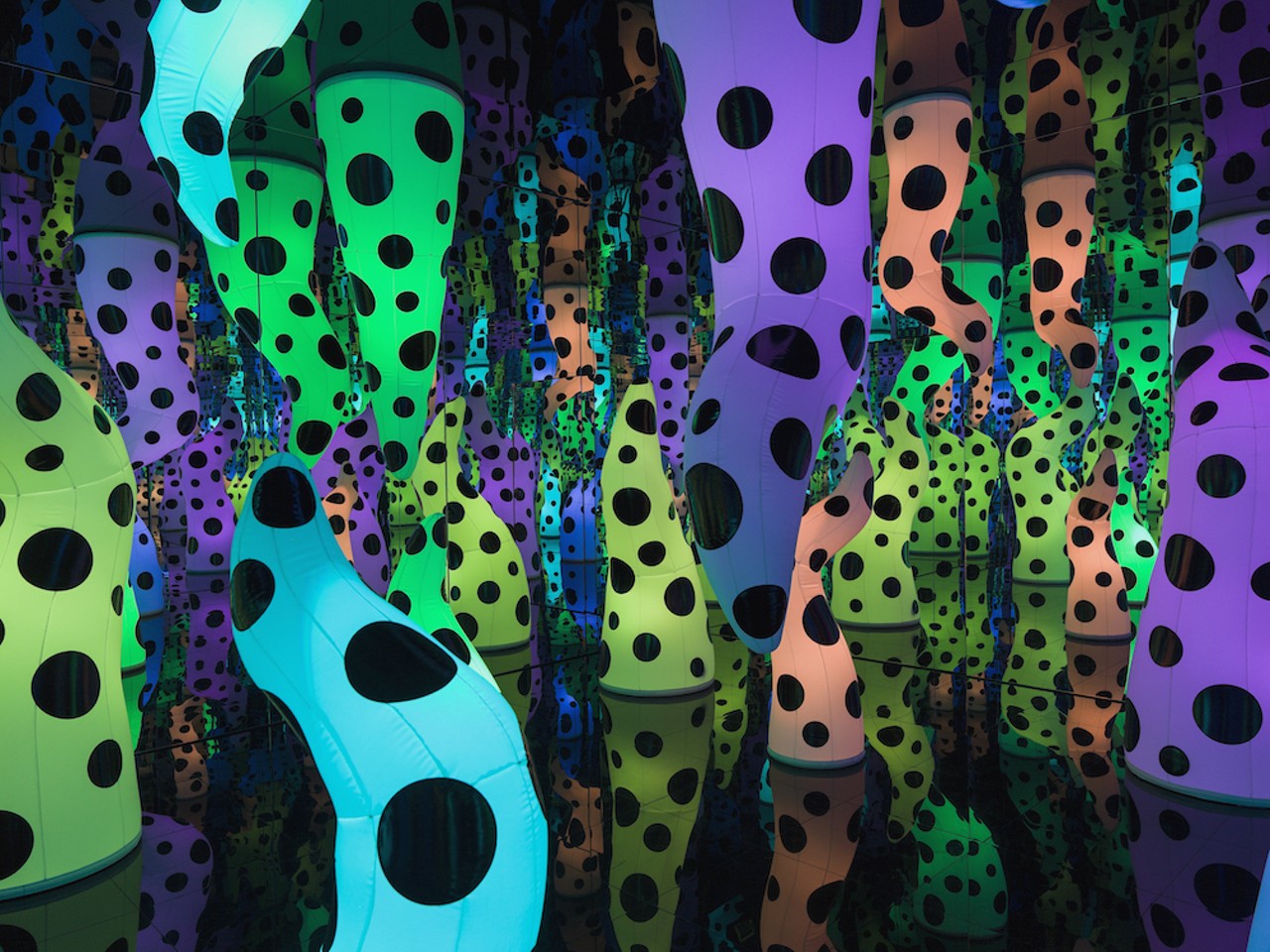 Love is Calling at Tampa Museum of Art
Opens Friday, Sept. 28
Photo via Yayoi Kusama/Tampa Museum of Art