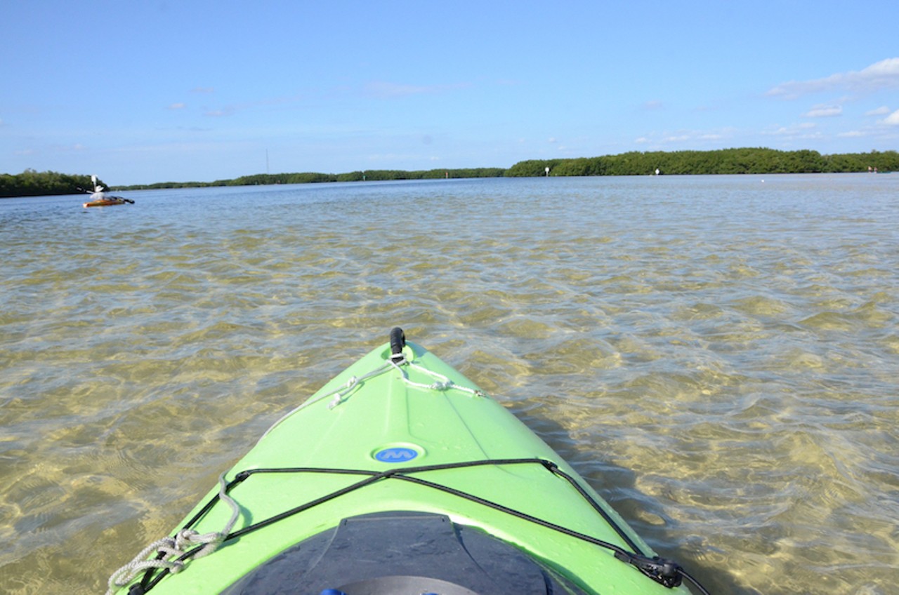 Paddle the Preserve: Seagrass ecology at Weedon Island
Saturday, Feb. 2: 2 p.m.
Photo via Cathy Salustri