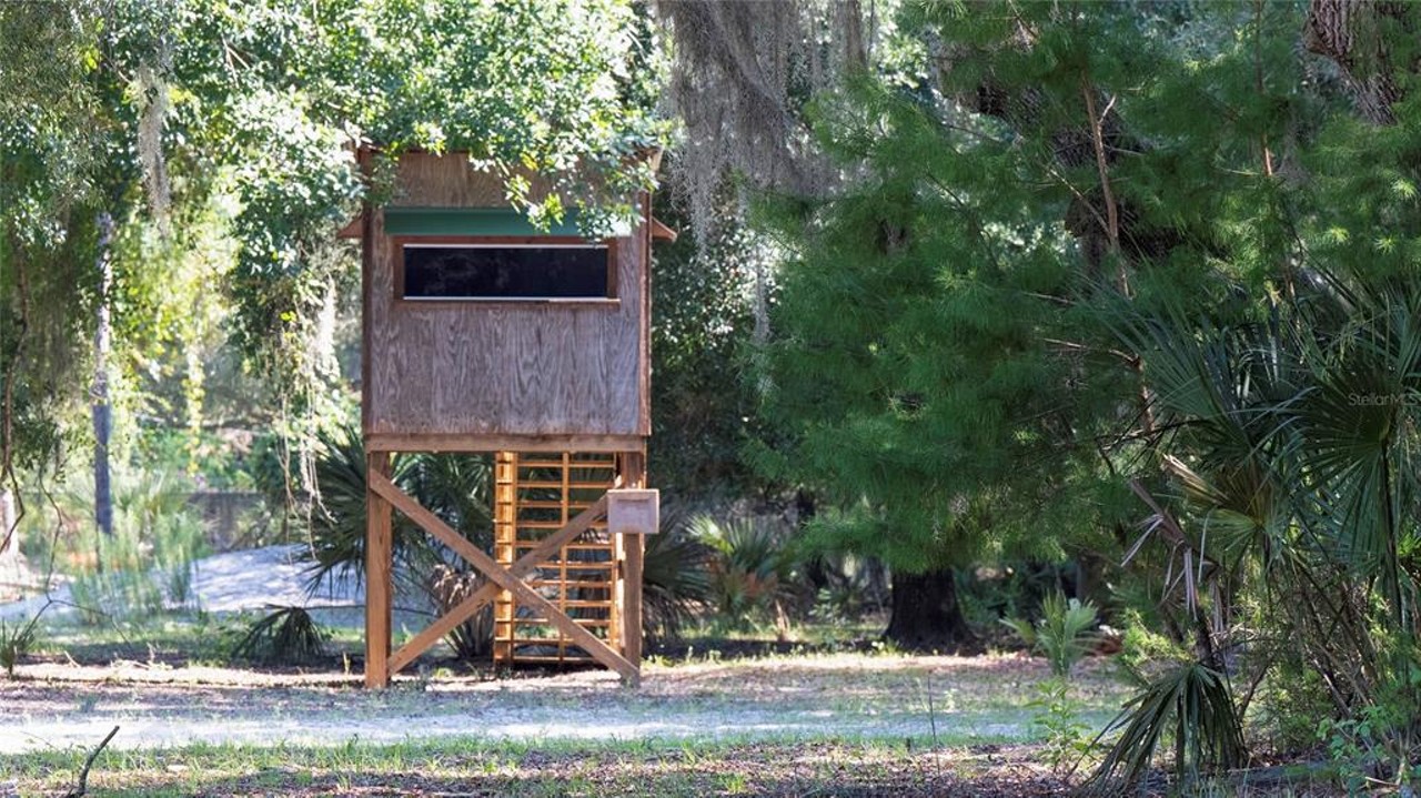 This $8 million Florida ranch is for sale, and it comes with three lakes, 500 deer, and herds of exotic animals