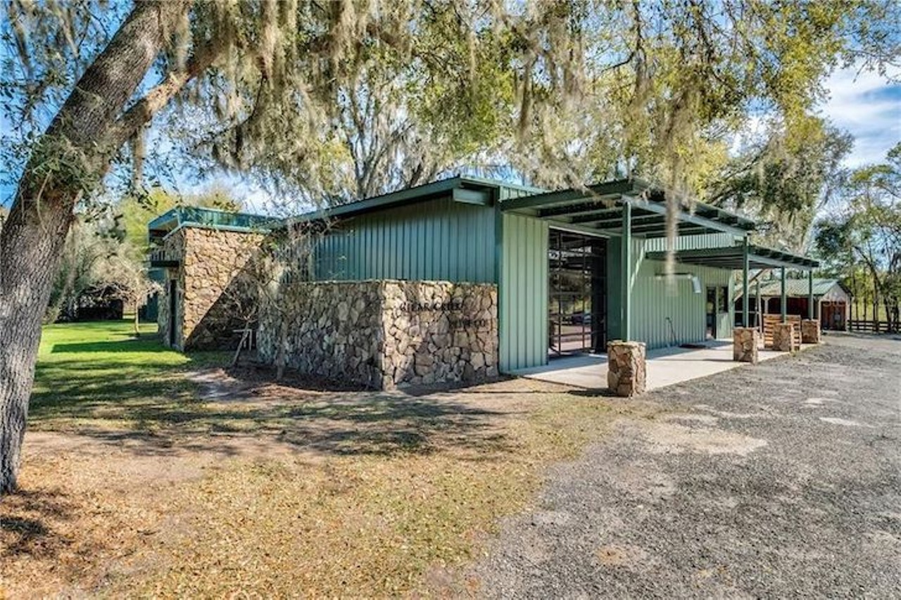 This house in Ocala comes with a fully operational olive farm