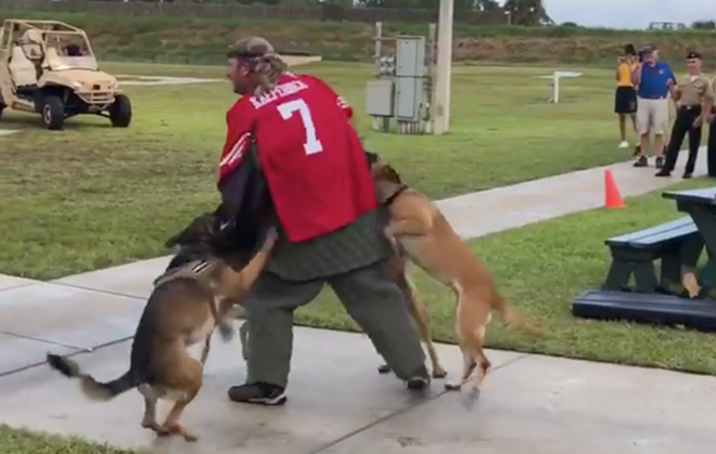 Navy SEALs launch investigation after video shows a dog attacking a man in a Kaepernick jersey in Florida