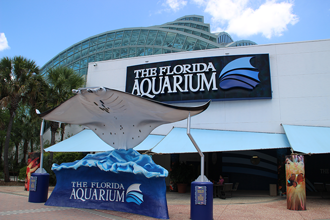 Tampa Bay's CrossBay Ferry could dock at Florida Aquarium instead of Tampa Convention Center
