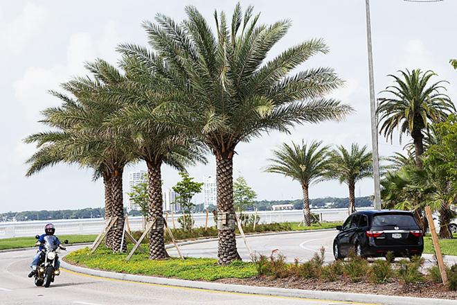 WANNA DATE? At a projected cost of $735,000, the Bayshore Boulevard Landscape Enhancement project provided new landscaping to the roadway that officials consider to be the premier gateway to downtown. The Sylvester date palms were planted at a cost of $2,200 each, along with other ornamental shrubbery and ground cover. The same types of trees were planted along Ashley Drive in the approach from I-275 to downtown. - Chip Weiner
