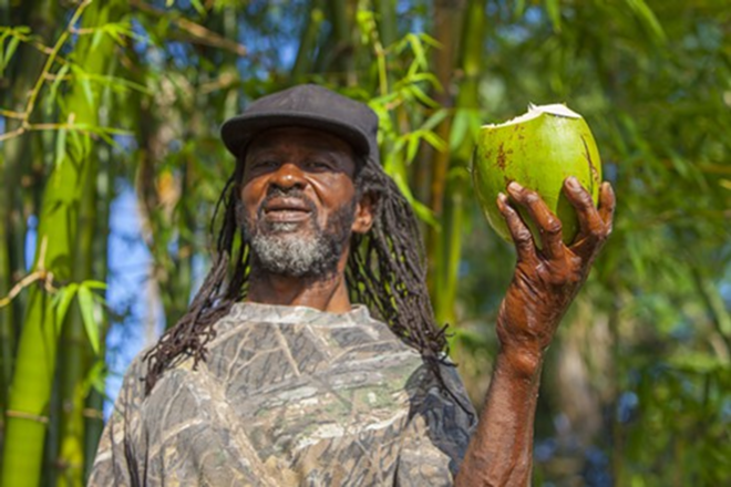 Jamaica native Cephas Gilbert harvests fresh coconut daily to share with family, friends and customers at Cephas' Jamaican Hot Shop in Ybor City. - Kimberly DeFalco