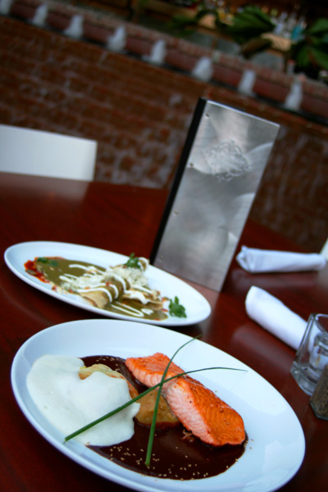 EITHER FISH OR FOWL: Salmon xico (foreground) and duck enchilada at DeSanto Latin American Bistro. - Shanna Gillette
