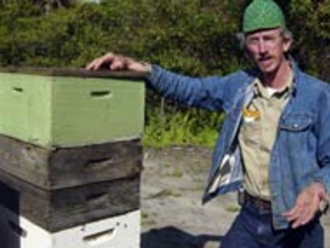 WHAT'S THE BUZZ? Marion Lambert with several boxes of his honeybees. - Max Linsky