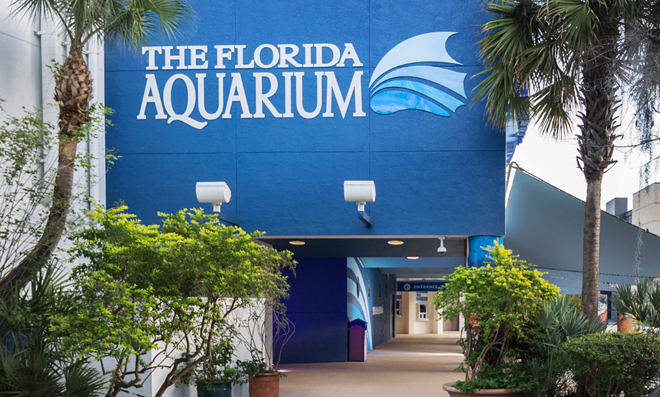 Florida Aquarium is hosting adult night Sips Under the Sea next month