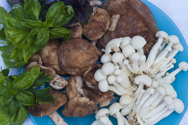 HEALTH CAN BE FUN, GUS: Portobello, shiitake and bunopi mushrooms. - Kimberly DeFalco