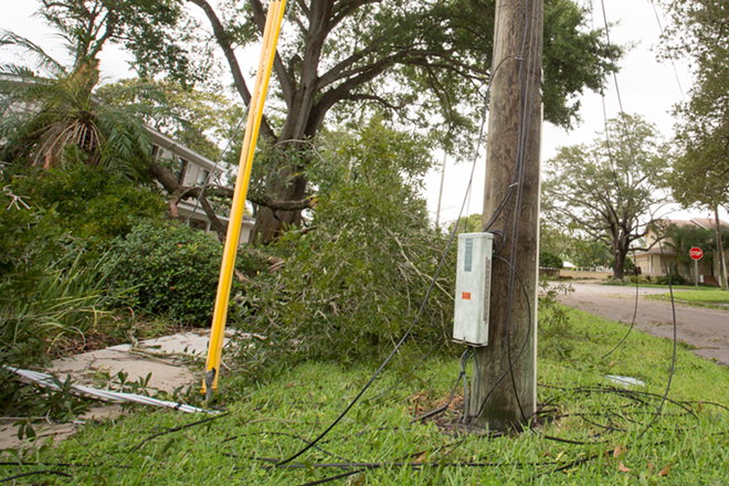 Tampa Electric is reporting that it could be days for electricity is restored for some customers. A large oak tree took down this power wire. - Chip Weiner