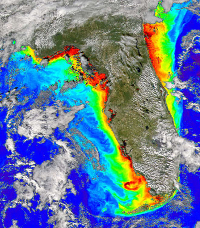 A 2004 aerial shot showing concentrations of red tide on the west coast of Florida, especially off Estero Bay to the south of Tampa Bay. - The National Oceanographic And Atmospheric Administration