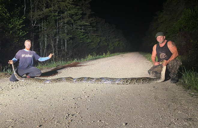 A record-breaking 18-foot, 9-inch Burmese python was captured in Florida