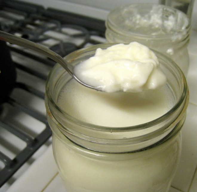 Make your own yogurt at Sweetwater Farm Sunday. - Dvortygirl via Flickr